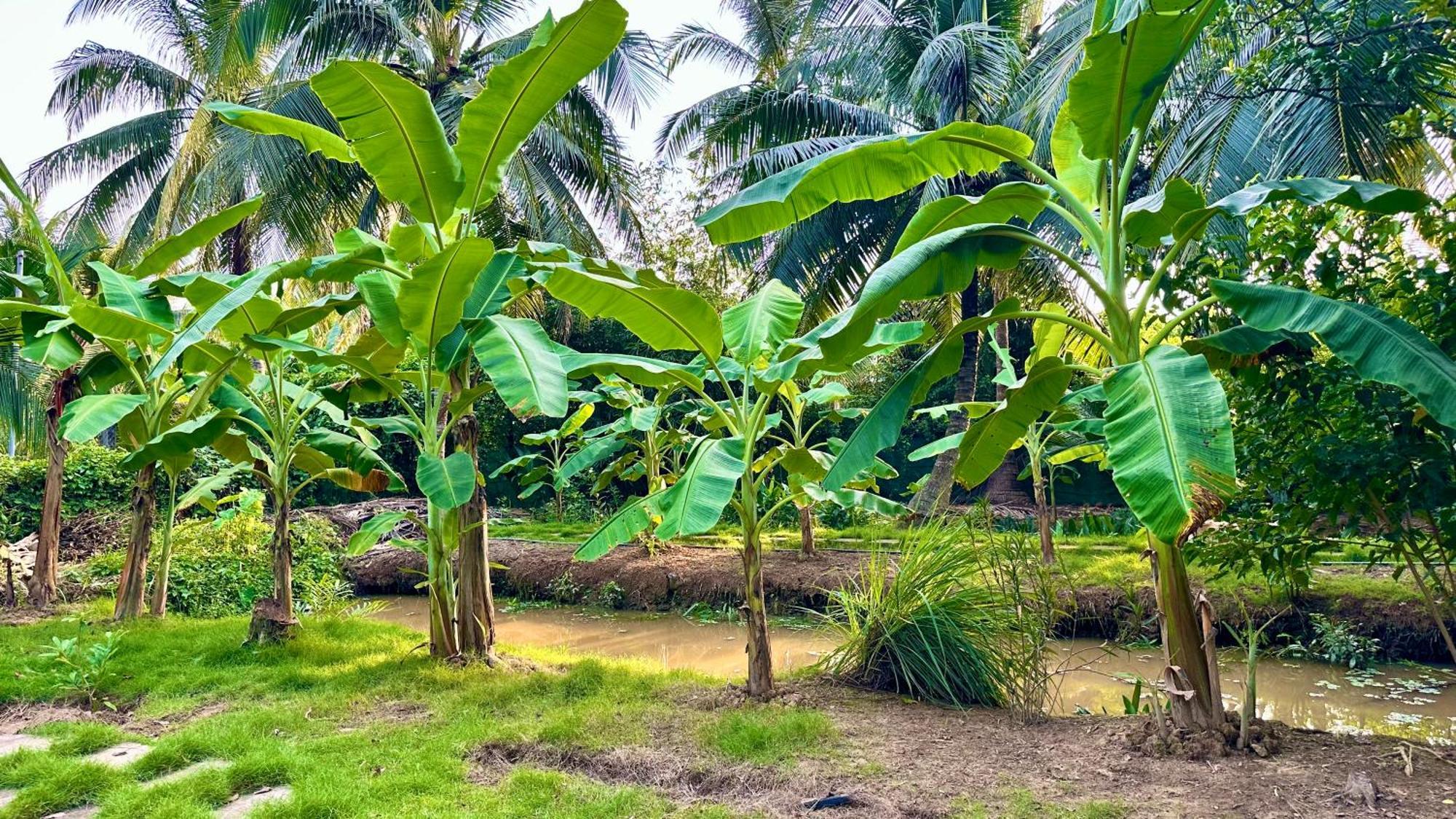 Hide Away Bungalows In Ben Tre City Exterior photo