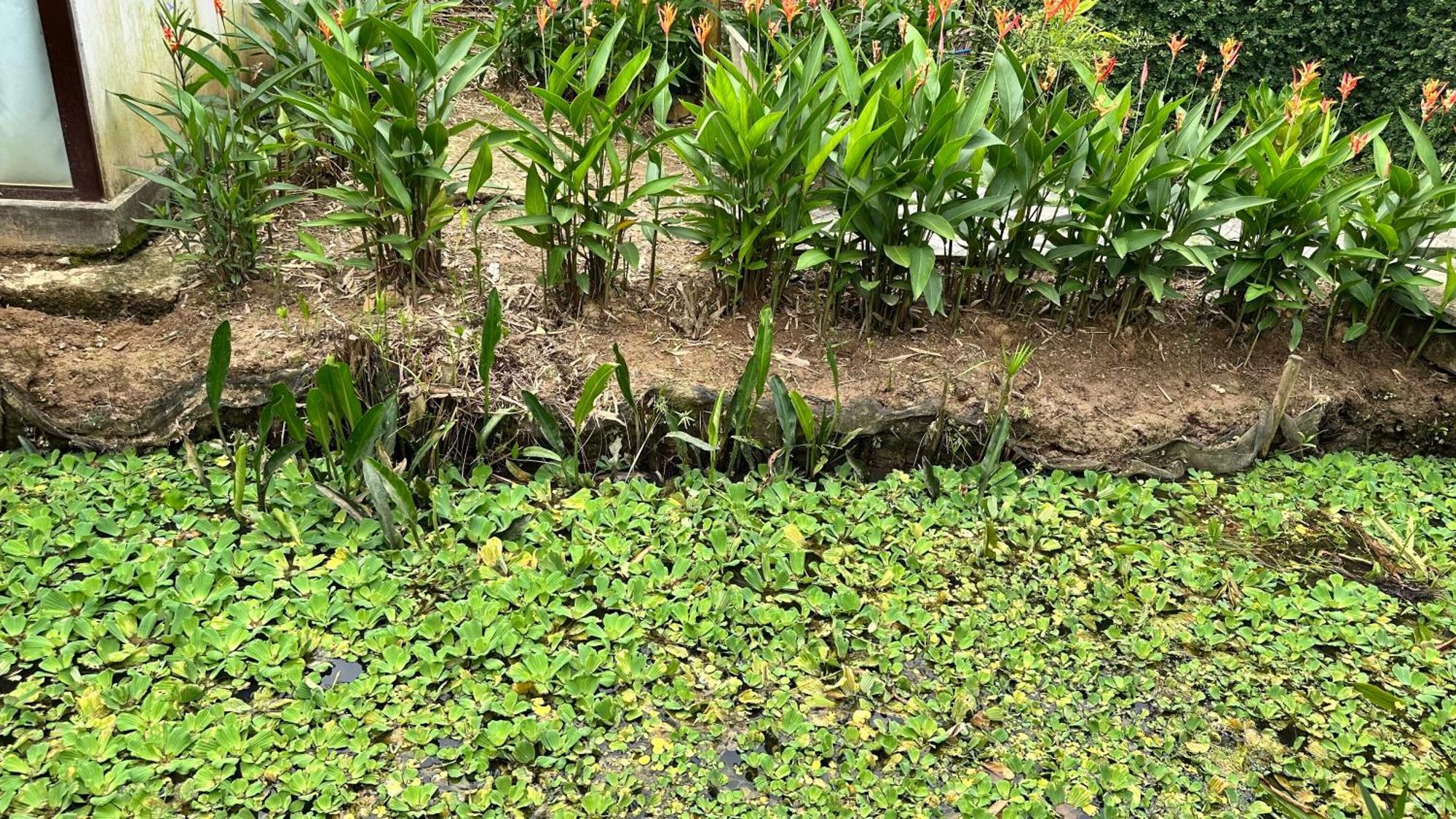 Hide Away Bungalows In Ben Tre City Exterior photo